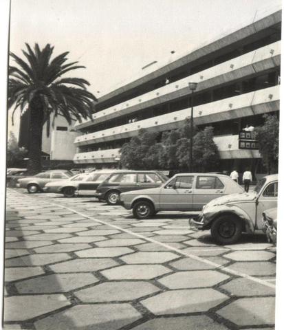 Estacionamiento en unidad I, junto a las palmeras