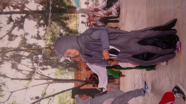 Mi primer año en la primaria