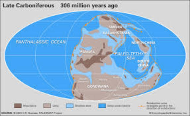 Eon: Phanerozoic    Era: Paleozoic    Period: Carboniferous