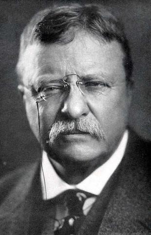 TR becomes President