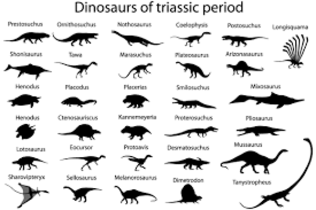 Eon: Phanerozoic    Era: Mesozoic    Period: Triassic
