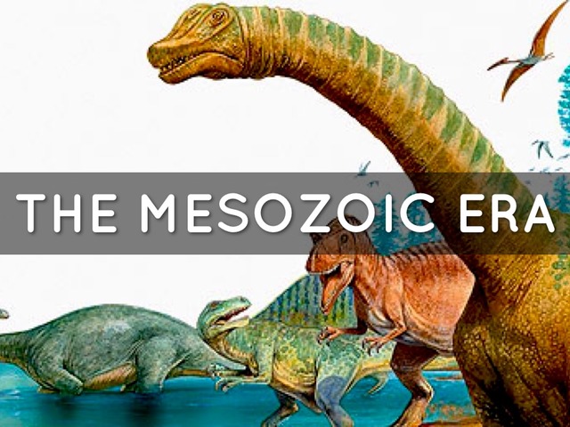 Era: Mesozoic     Period: Triassic