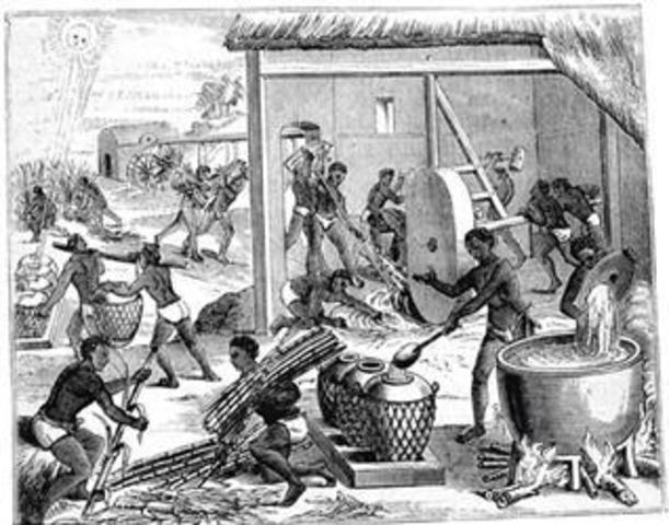 Desciende la poblacion