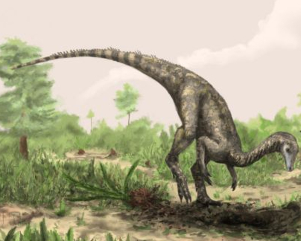 Era: Mesozoic     Period: Triassic