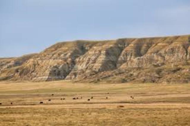 Eon: Phanerozoic    Era: Cenozoic    Period: Tertiary    Epoch: Eocene