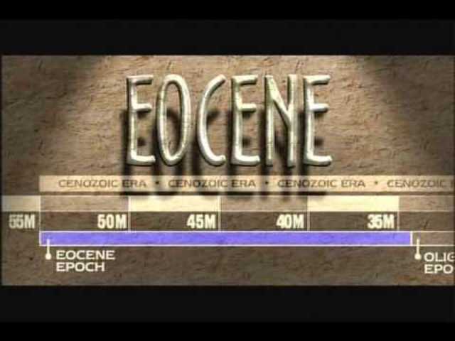 Epoch: Eocene