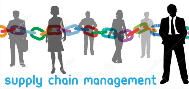 Para el Council of Supply Chain Management