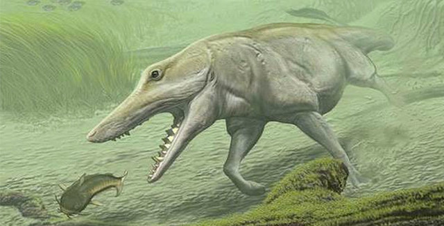 Pakicetus