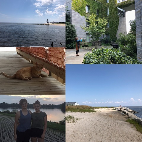 Ceci Fue a la Universidad