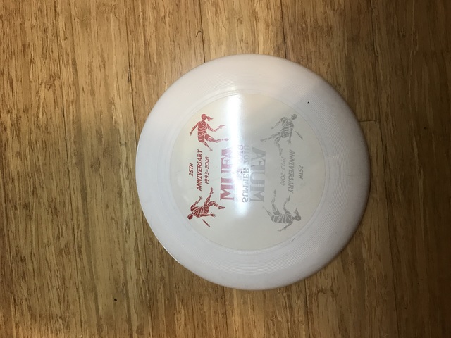 Jugué el Frisbee en un Equipo