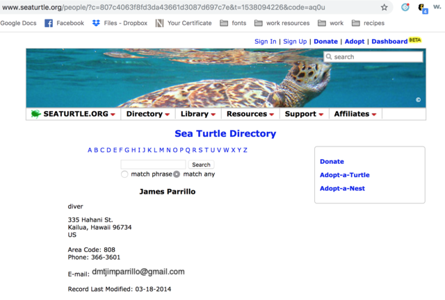 James Parrillo creates seaturtle.org profile