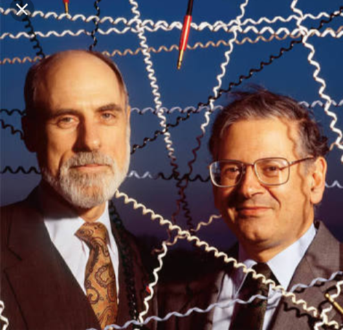 ROBERT FAHN Y VINTUN CERF