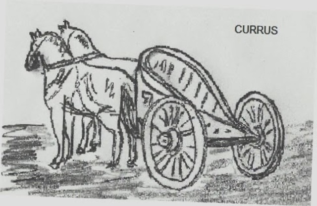 Carros para transportar productos agrícolas