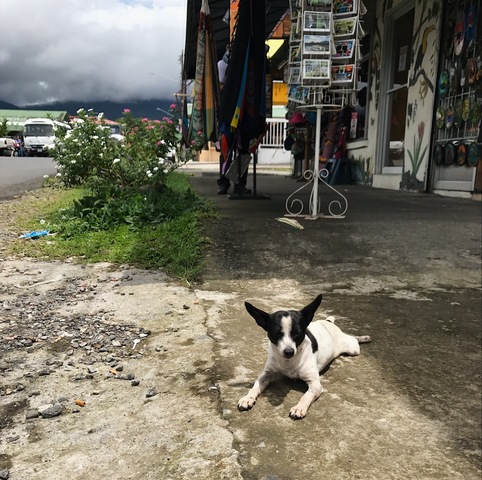 Un viaje a Costa Rica