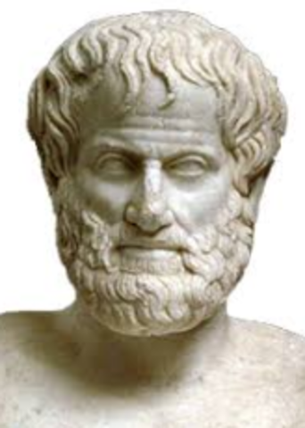 Aristotle (384 BC- 322 BC)