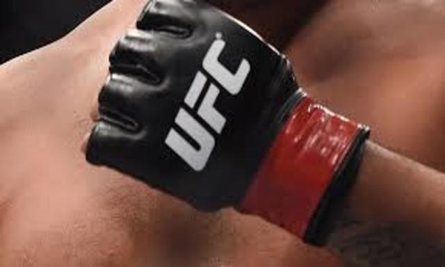 Padded gloves are made mandatory, kicks on ground made illegal