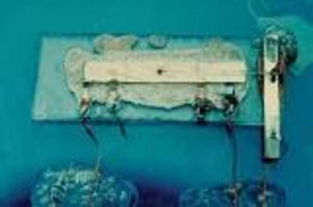 Primer circuito integrado