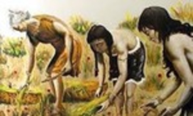 El nacimiento de la agricultura