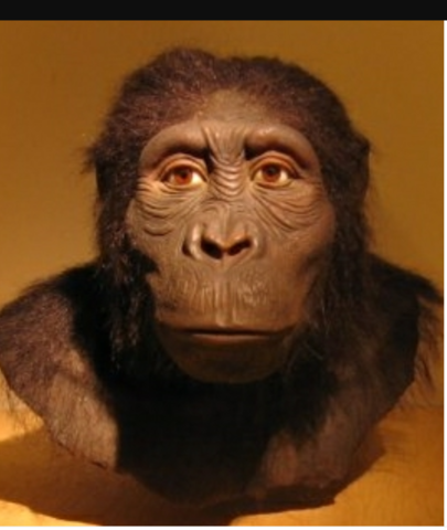 Austrolopitecus