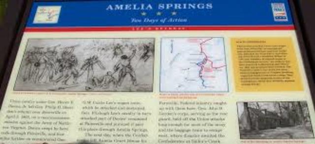 Amelia Springs
