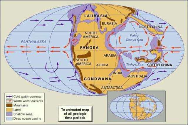 the Triassic Extinction