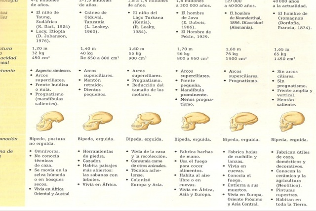 Aparición del Homo sapiens