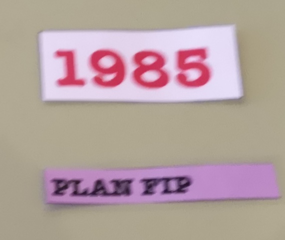 PLA DE FORMACIÓ INSERCIÓ PROFESSIONAL (PLA FIP)