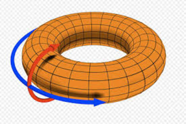 Toroidal Ring Model