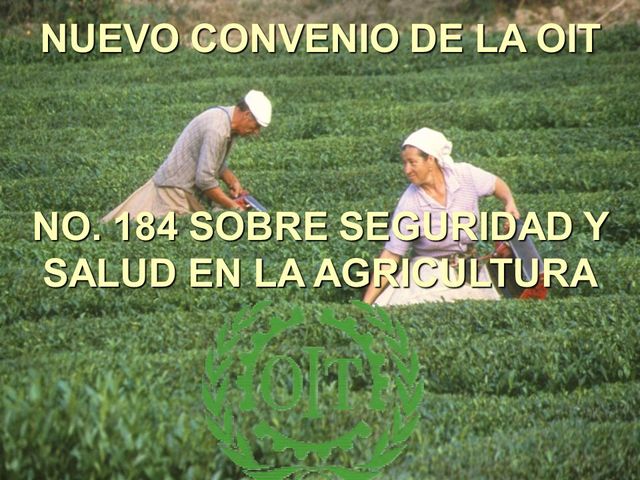 Convenio 184