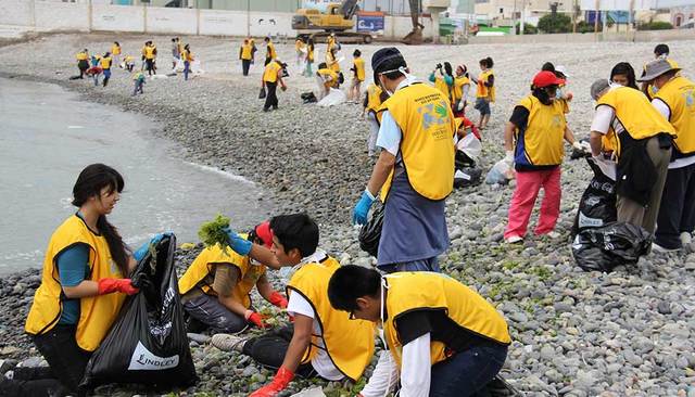 Actividades de Servicio