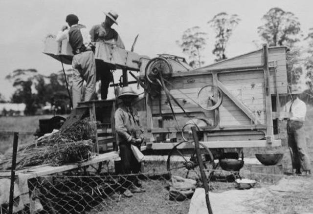 Trilladora mecánica