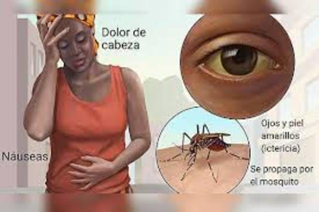 1923 Se registra el último caso de fiebre amarilla