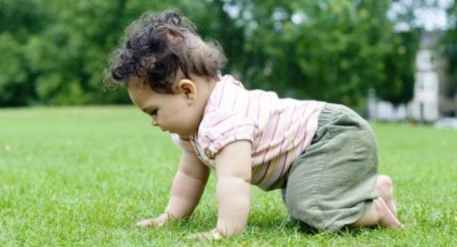 Infant begins crawling