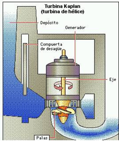 Surge la turbina de Kaplan, impulsada por la fuerza hidráulica, que cuenta con un rodete, que hace las veces de la hélice en los barcos, de flujo axial.