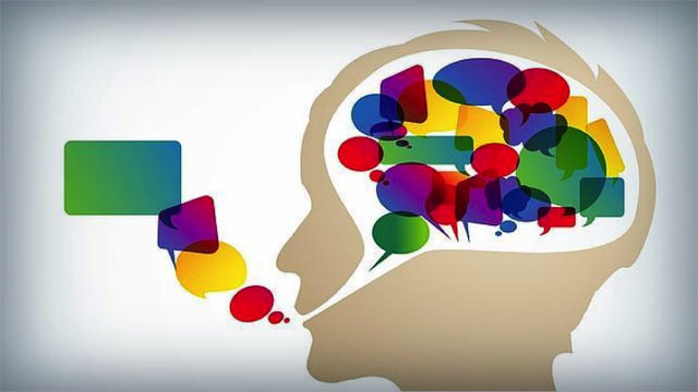 PERSPECTIVA COGNOSCITIVA