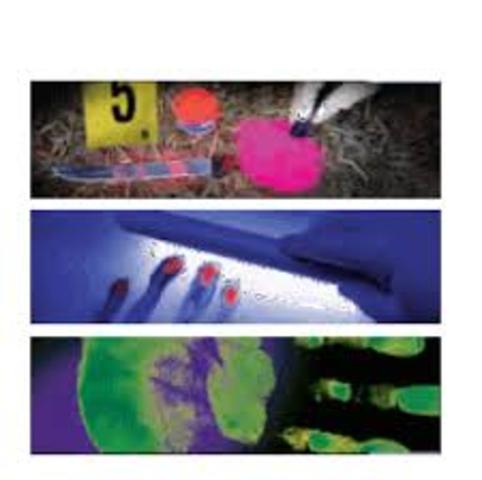 Leone Lattes and Dried Blood Identification