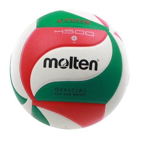 Campeonato Estatal Volleyball.