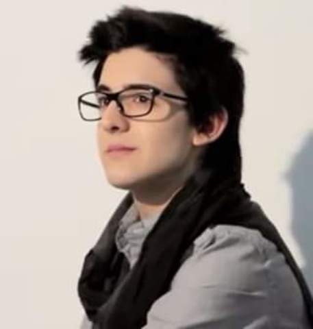 Discovering the voice