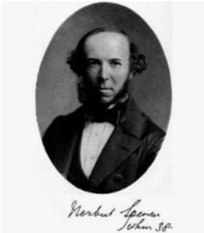 TEORIA ESTADOUNIDENSE HERBERT SPENCER