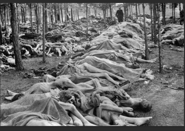 German troops begin the seige into Leningrad