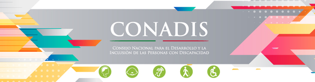 Se constituye el Consejo Nacional Ciudadano de personas con Discapacidad.