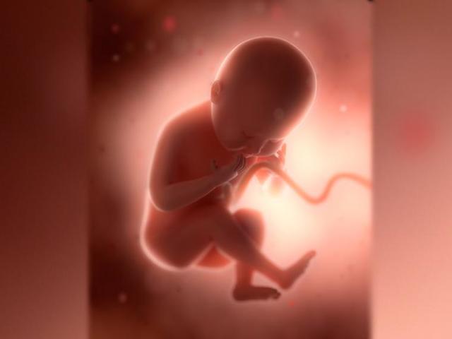 Útero de la madre (antes de las 24 semanas)