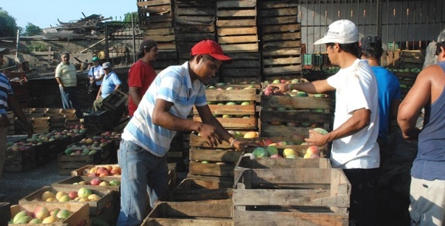 Era de  la creación 1970