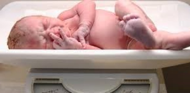 Primeros días de nacido ¡Bienvenido al mundo!