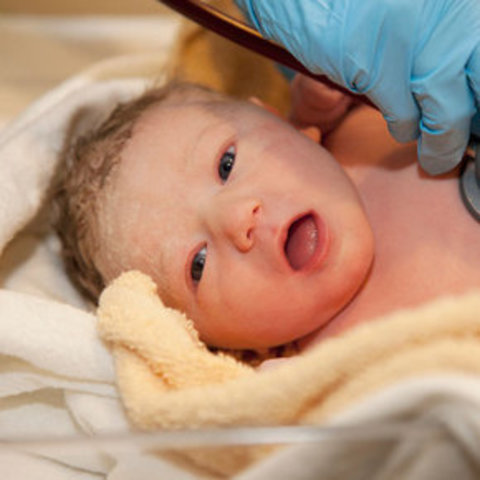 Conociendo el entorno ¡Bienvenido al mundo!