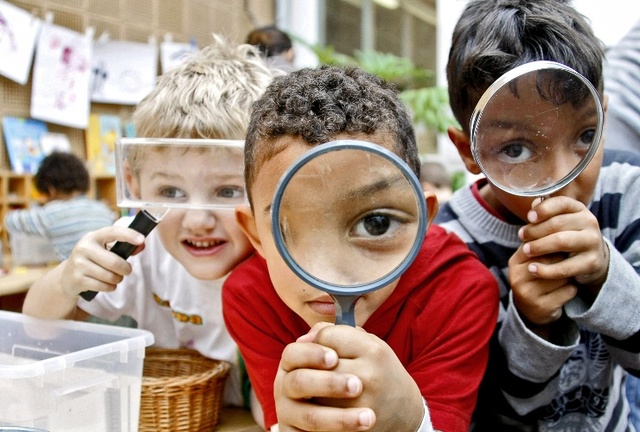 Enseñar a partir de la Observación