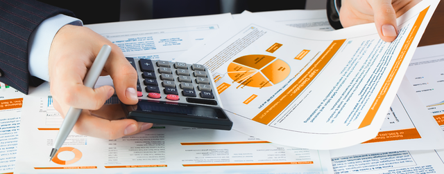 Ley de Integración Monetaria