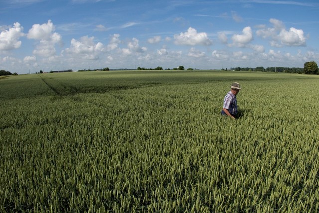 Repercussão da PL 6.299/2002 - Divide Opiniões: A Favor