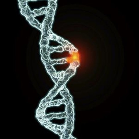 Los seres humanos tienen entre 20.000 y 25.000 genes