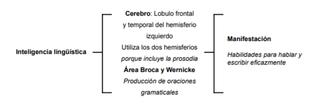 INTELIGENCIA VERBAL-LINGÜÍSTICA